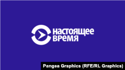 Реальное кино: Свидетели Путина