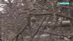 "Победных настроений нет". Военный аналитик – о том, что происходит с российской армией на кураховском направлении 